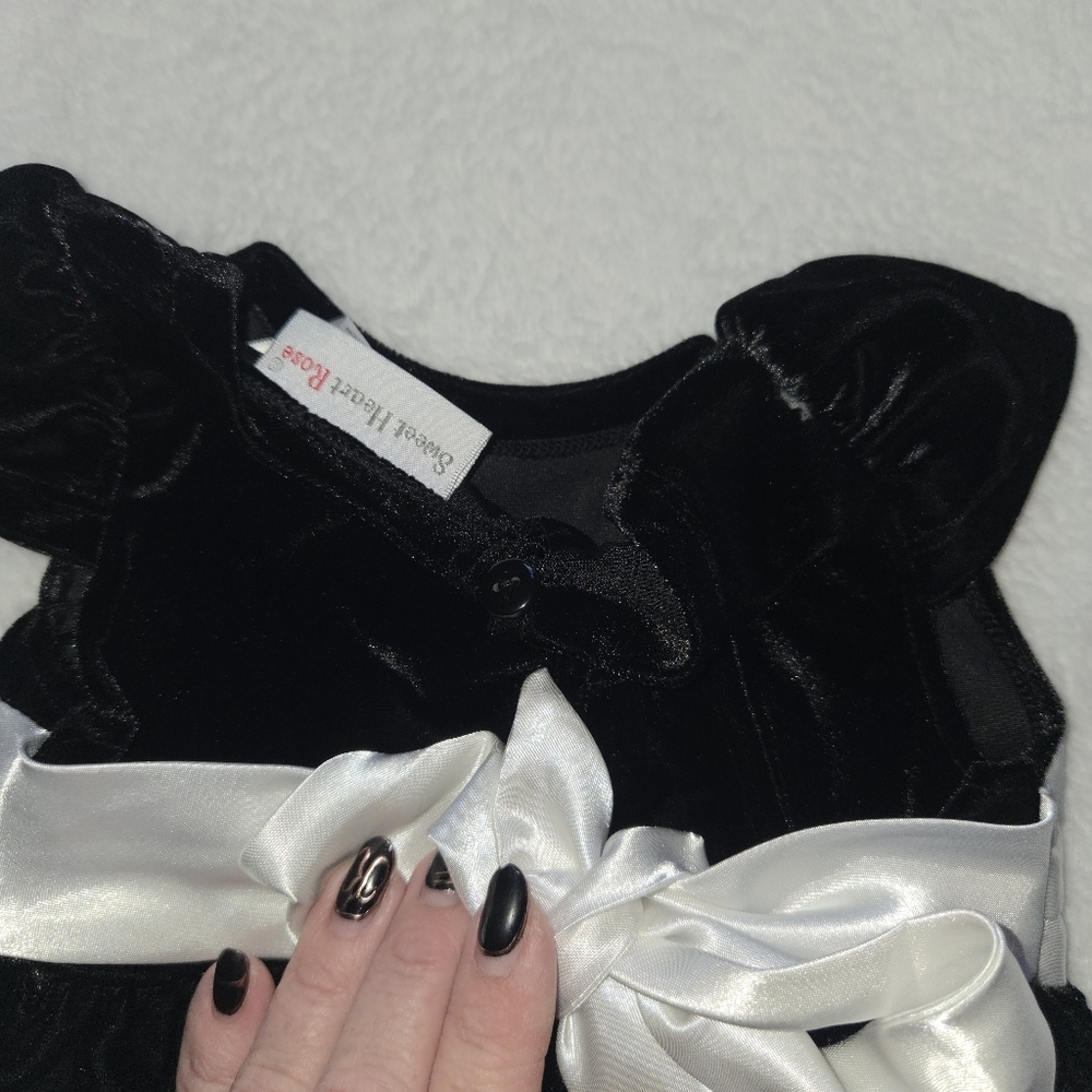Sweet Heart Roses 18M Velvet Balloon Dress Satin Sash & Rose Posh Vintage Baby - Picture 7 of 16